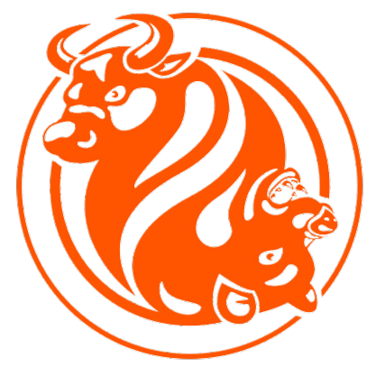 FXOpen FXOpen Logo